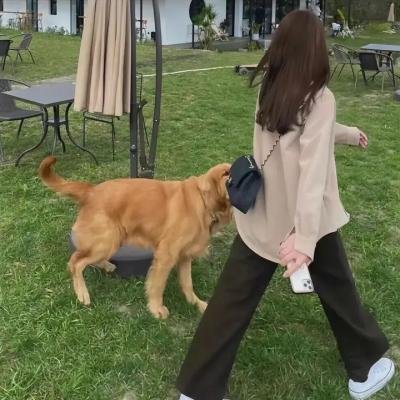 念情女博士